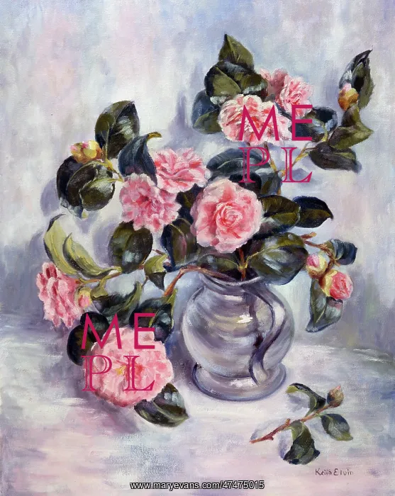: Pink Camellias : Pink Camellias