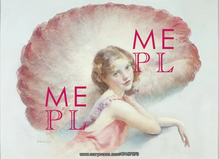 : The Pink Fan : The Pink Fan