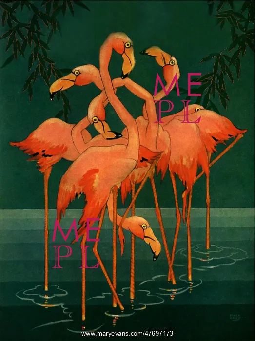  : Pink Flamingoes