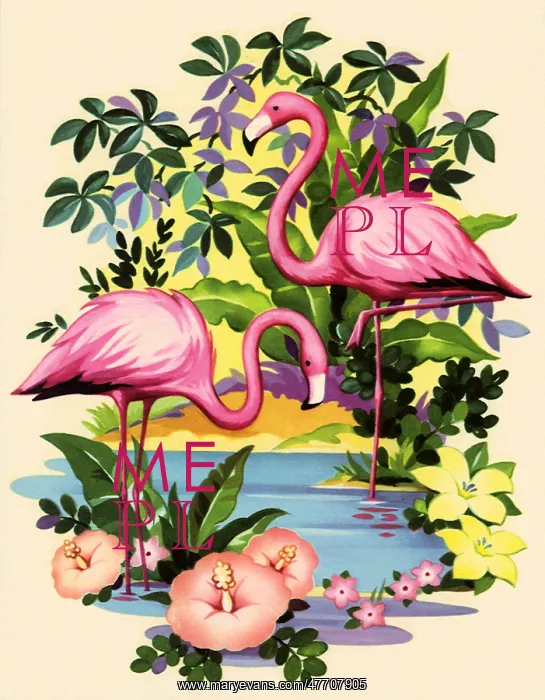 : Pink Flamingoes : Pink Flamingoes