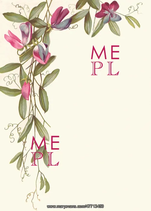  : Pink Flower Border