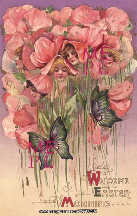  : Pink Flowers, Faces