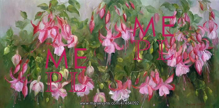  : Pink Fuschia Bush
