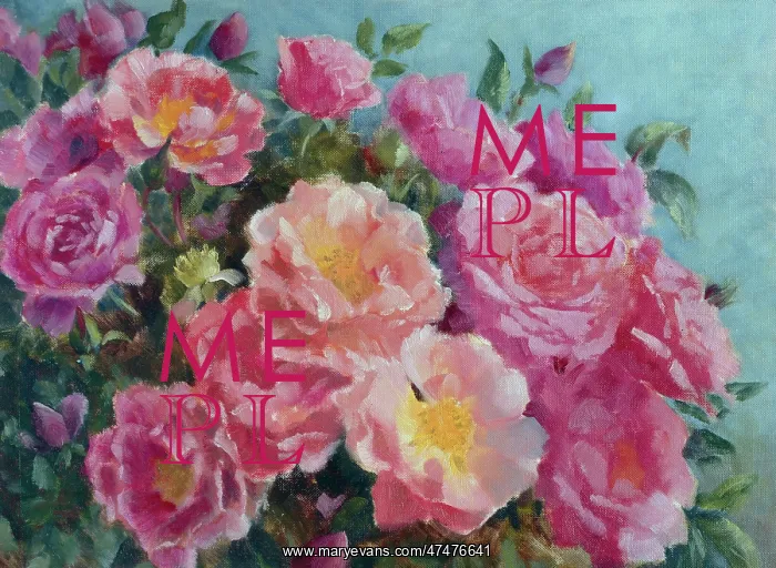 : Pink June Roses : Pink June Roses