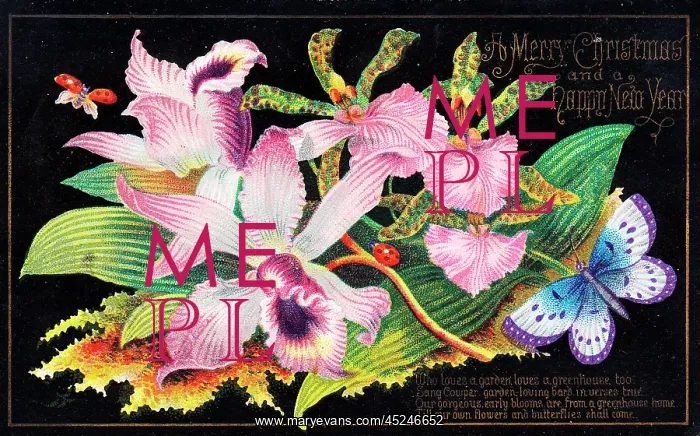 : Pink lilies on a Christmas card : Pink lilies on a Christmas card