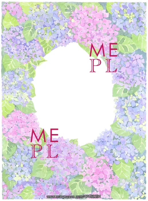  : Pink and Purple Hydrangeas in a border design