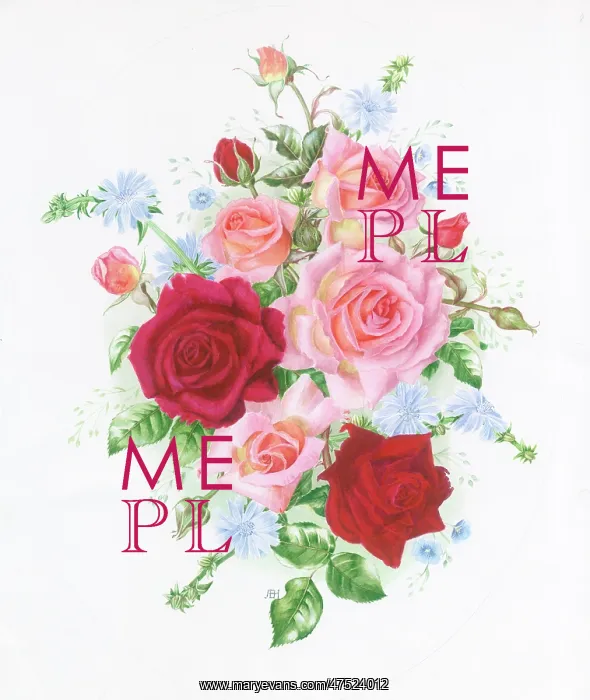  : Pink and Red Roses with Chicory