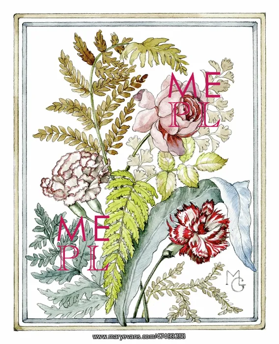 : Pink Rose, Carnations and ferns