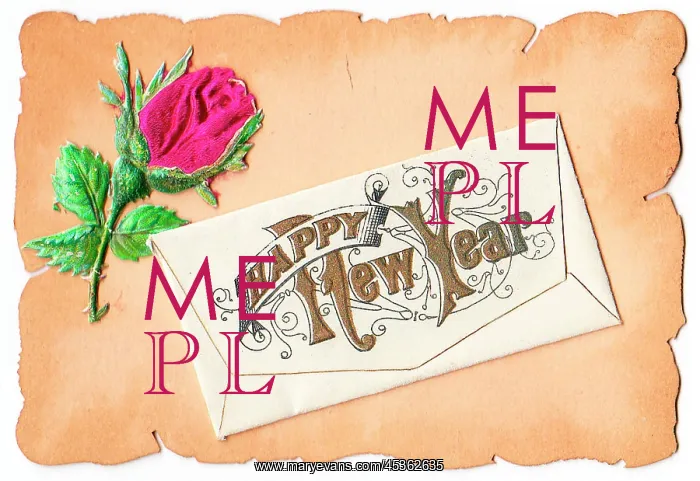  : Pink rose on a New Year card