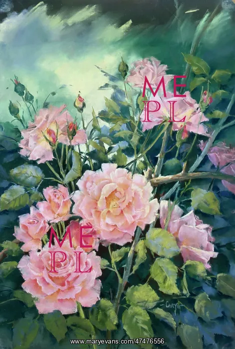  : Pink Roses