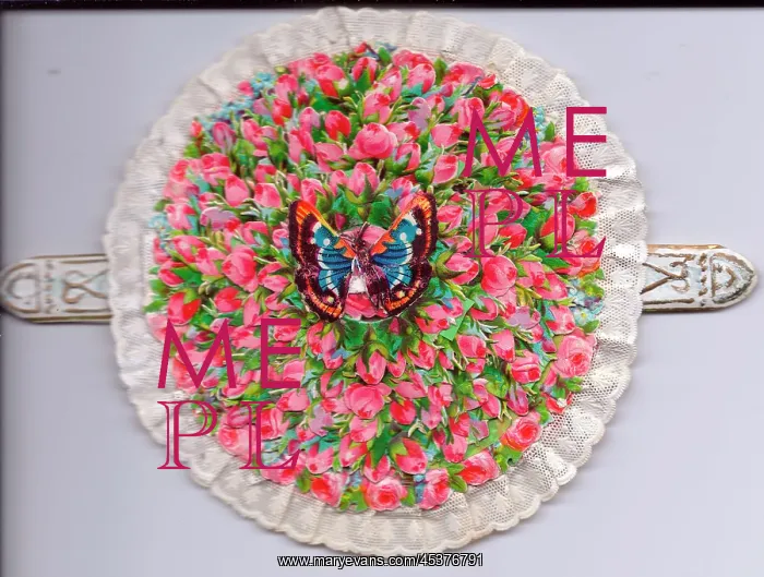 : Pink roses on a circular greetings card : Pink roses on a circular greetings card