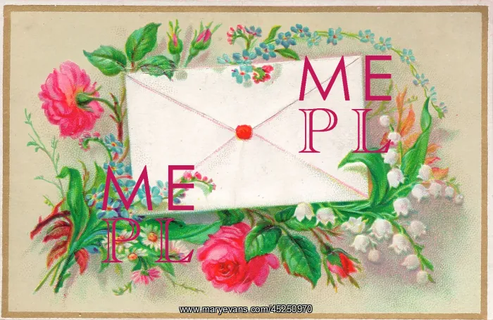 : Pink roses with envelope on a greetings card : Pink roses with envelope on a greetings card