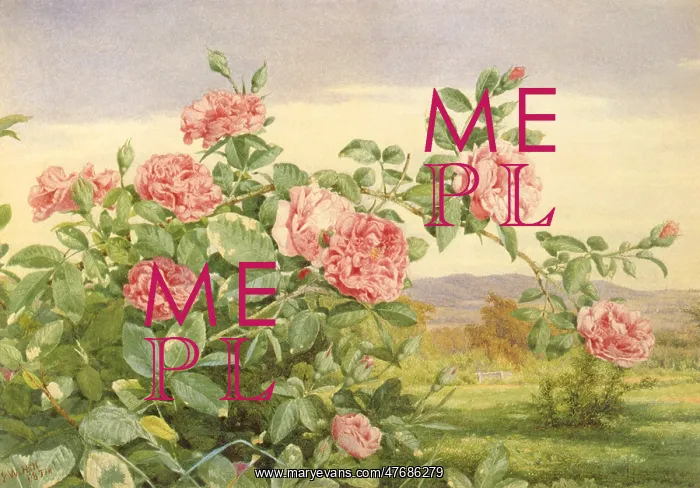  : Pink Roses with Landscape