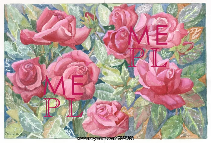  : Pink roses with leaves