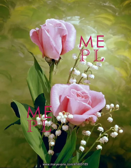  : Pink Roses and Lily of the Valley
