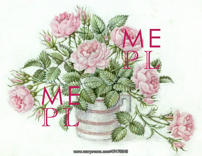 : Pink Roses in a Striped Mug (with greeting) : Pink Roses in a Striped Mug (with greeting)