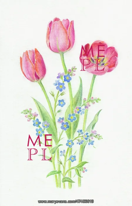  : Pink Tulips and Forget-me-nots