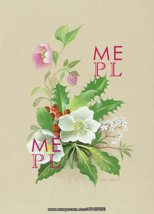 : Pink and white hellebores, holly and berries
