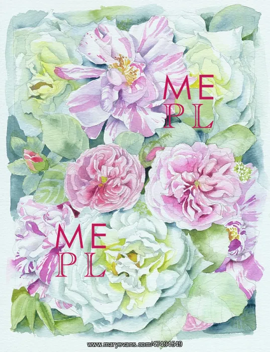  : Pink and White Peonies and Roses
