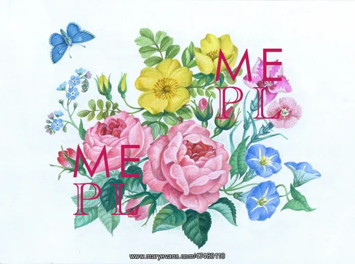 : Pink and Yellow Roses, Morning Glory etc : Pink and Yellow Roses, Morning Glory etc