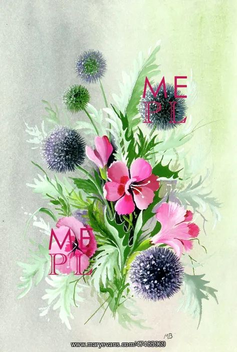 : Pinks and Globe Thistles