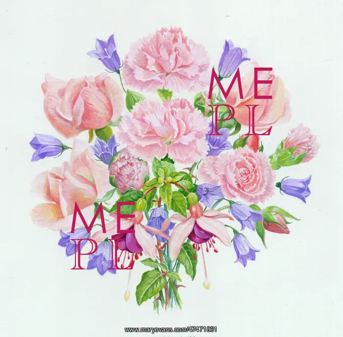 : Pinks and Roses - including fuchsias, carnations and bluebel : Pinks and Roses - including fuchsias, carnations and bluebel