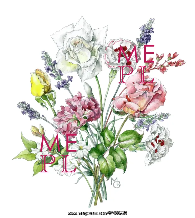 : Pinks, Roses, Jasmine and Lavender : Pinks, Roses, Jasmine and Lavender