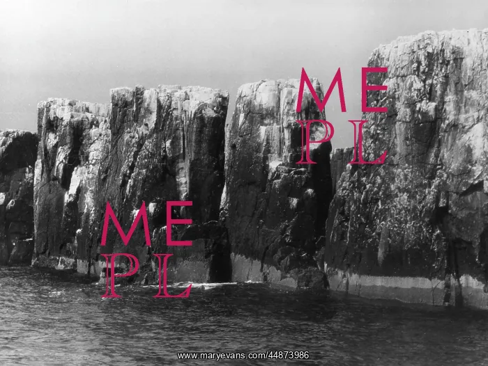 : THE PINNACLES : THE PINNACLES