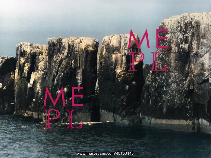 : THE PINNACLES : THE PINNACLES