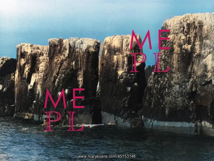 : THE PINNACLES : THE PINNACLES