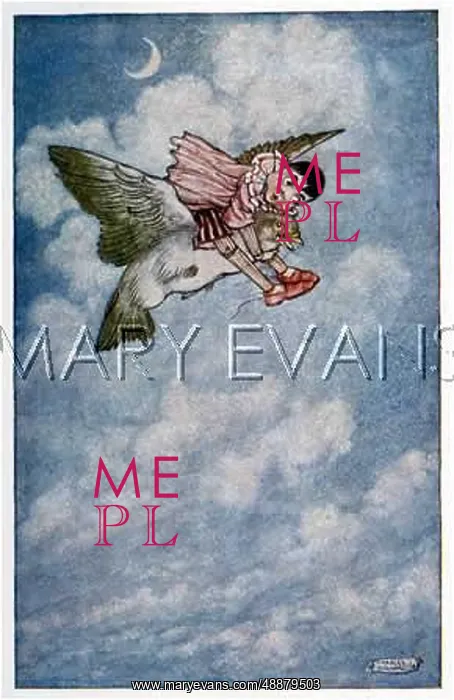: PINOCCHIO ON A PIGEON : PINOCCHIO ON A PIGEON