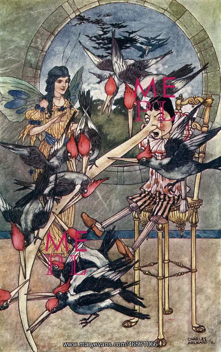 : PINOCCHIO'S NOSE PECKED : PINOCCHIO'S NOSE PECKED