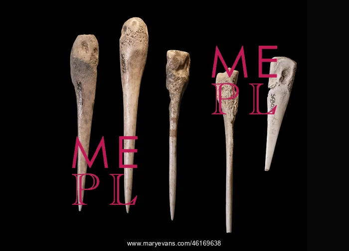 : Pins, Visitor Centre Museum, Skara Brae, Mainland, Orkney : Pins, Visitor Centre Museum, Skara Brae, Mainland, Orkney