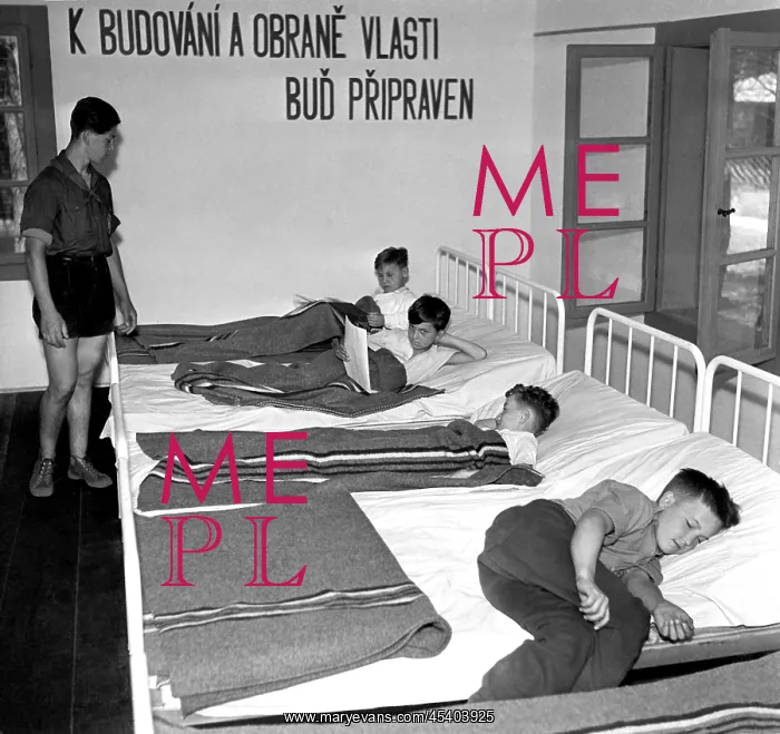 : Pioneer camp - beds - sleeping - resting : Pioneer camp - beds - sleeping - resting