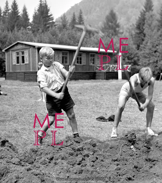 : Pioneer camp - working - pick - digging : Pioneer camp - working - pick - digging