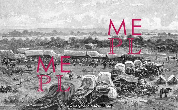  : Pioneer Force in Mashonaland