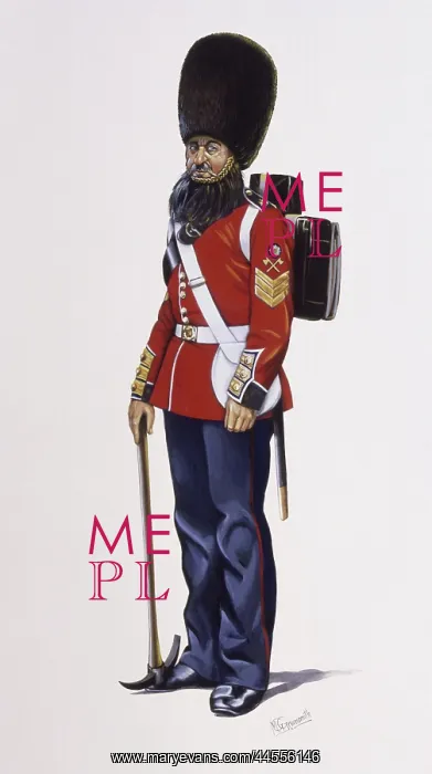 : Pioneer Sergeant - The Scots Guards : Pioneer Sergeant - The Scots Guards