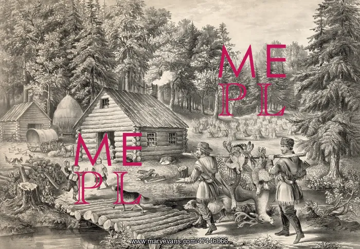 : The pioneer's home: on the western frontier : The pioneer's home: on the western frontier