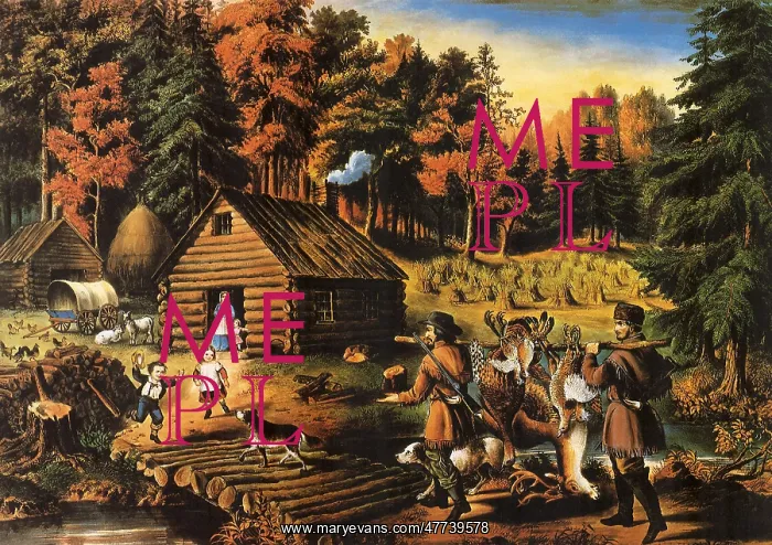 : The Pioneer's Home on the Western Frontier : The Pioneer's Home on the Western Frontier