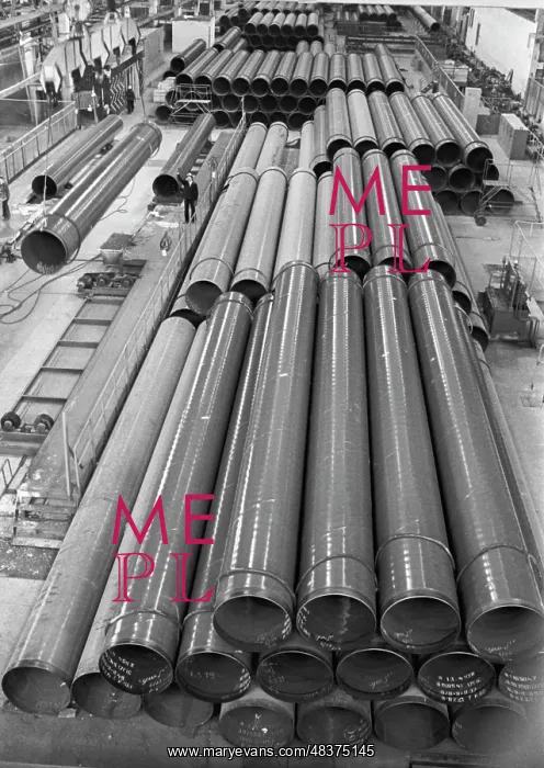 : Pipe plant : Pipe plant