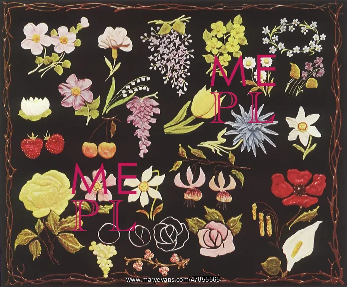 : Piped Flower Samples : Piped Flower Samples