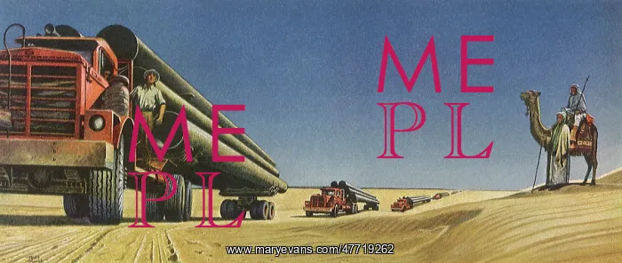 : Pipes Taken Thru Desert