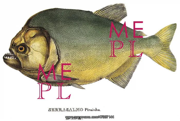  : Piranha