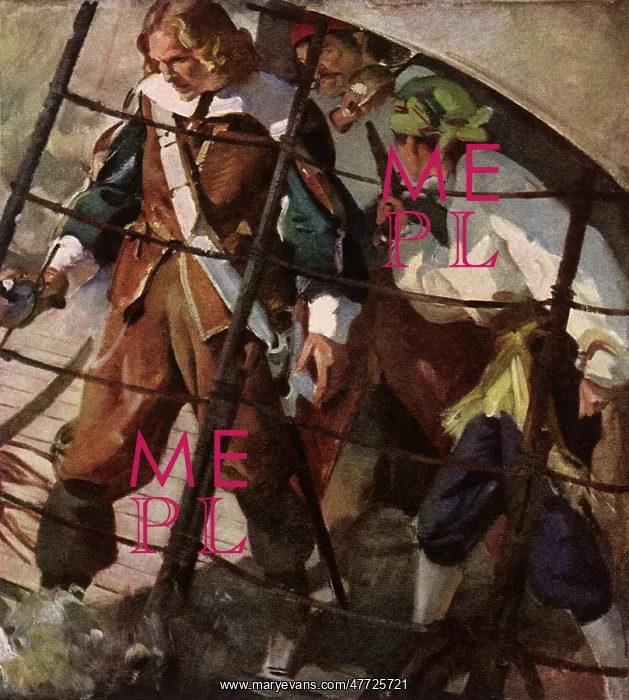  : Pirates on a Ship