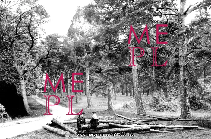  : Pirbright, Admirals Walk 1908