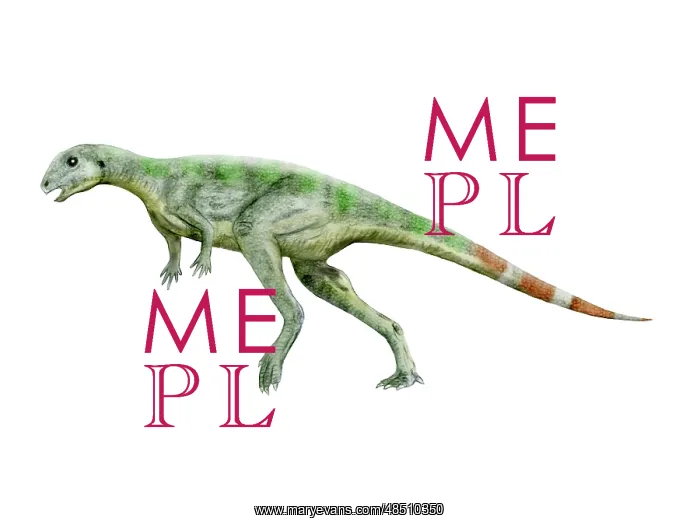  : Pisanosaurus dinosaur