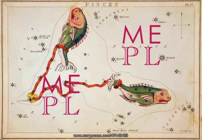 : Pisces. Astronomical chart showing two fish tethered with a ribbon forming : Pisces. Astronomical chart showing two fish tethered with a ribbon forming