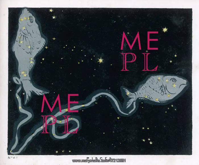 : PISCES CONSTELLATION : PISCES CONSTELLATION