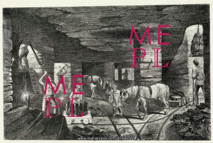 : Pit Ponies - 1853 : Pit Ponies - 1853