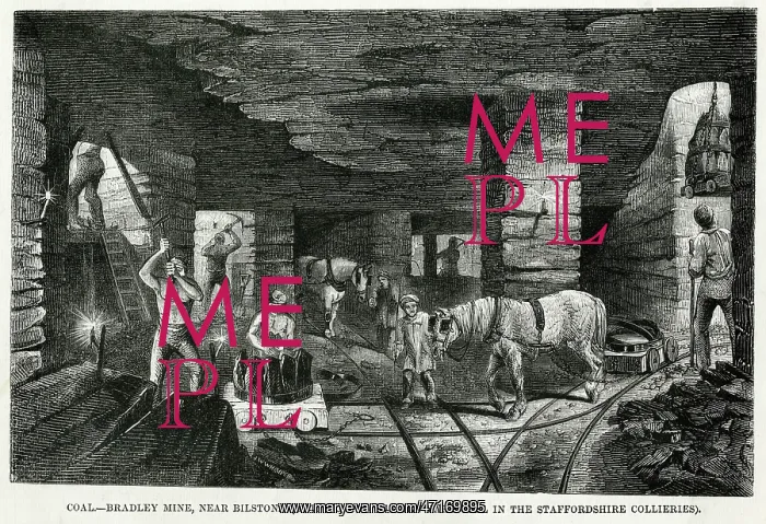 : Pit Ponies - 1853 : Pit Ponies - 1853